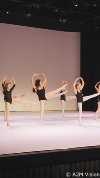 Finesa plesa (14)